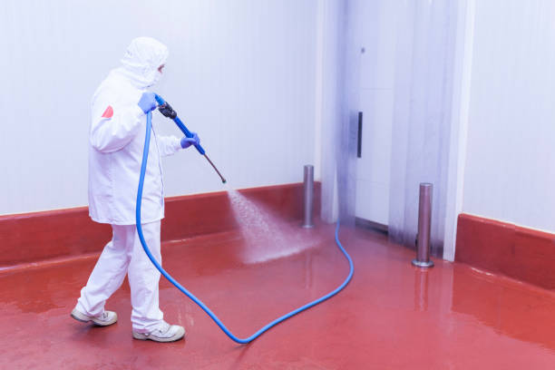 Trusted Park City, IL Pressure Washing Services Experts